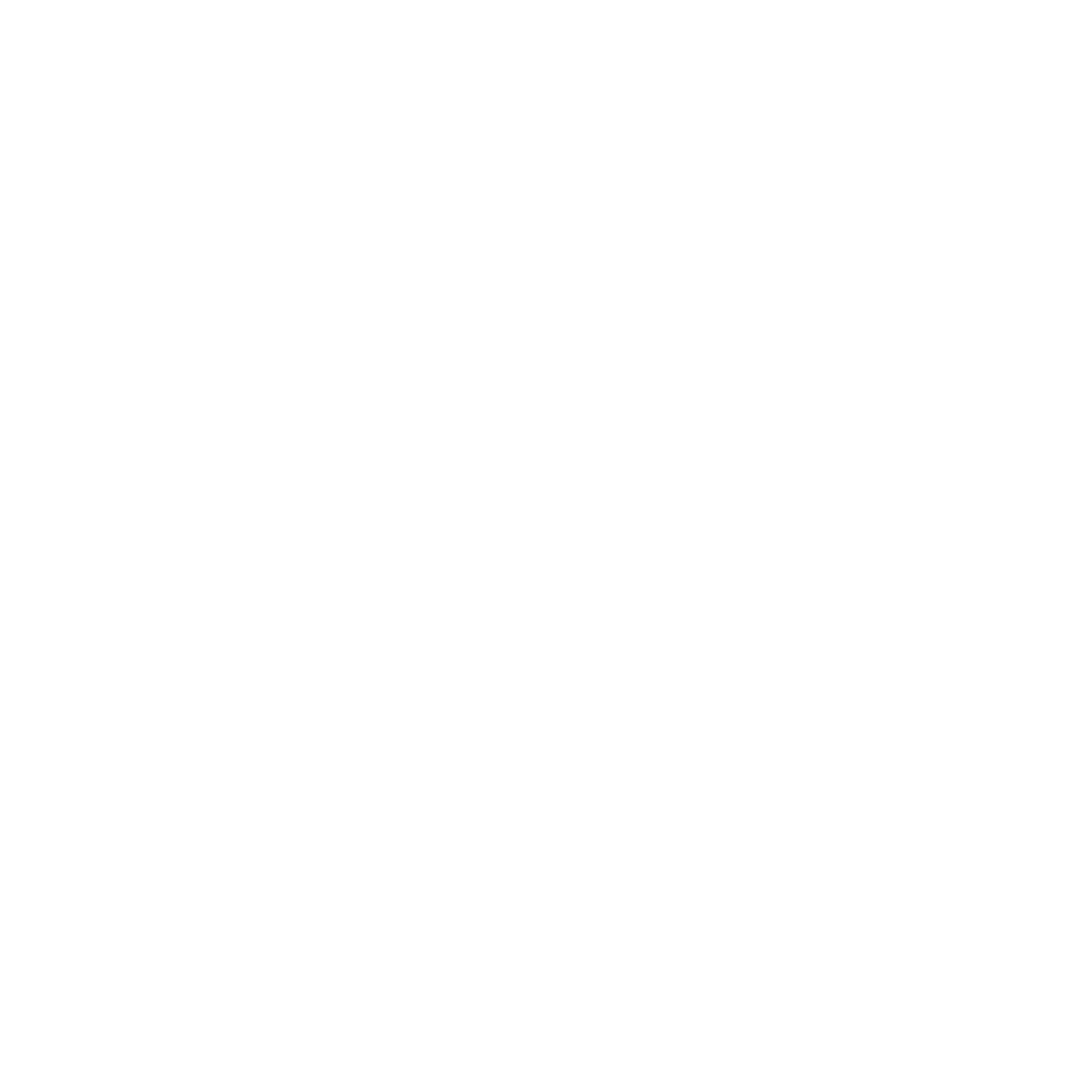 Customit Logo